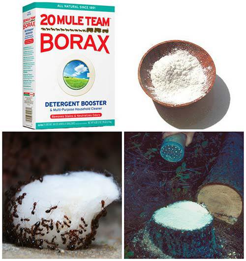 30 Little Known Uses For Borax Home Garden DIY   37347217 2178695719077954 5445942888363982848 N 