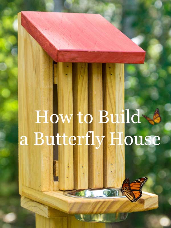 how-to-build-a-butterfly-house-home-garden-diy