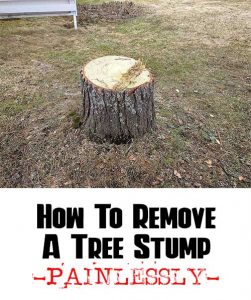 How To Remove A Tree Stump - Home Garden DIY