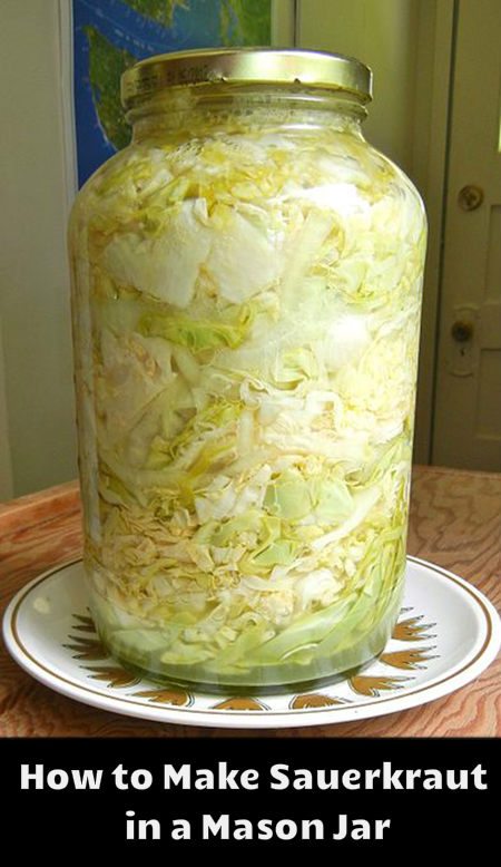 How to Make Sauerkraut in a Mason Jar - Home Garden DIY