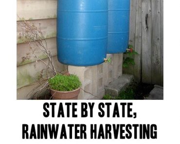 State By State, Rainwater Harvesting legislations