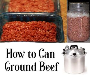 How To Can Ground Beef - Home Garden DIY