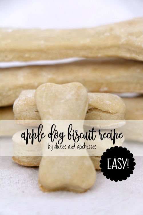 Easy Apple Dog Biscuit Recipe Home Garden DIY