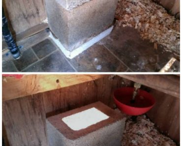 How To Build An Automatic Chicken Coop / Dog Kennel Heater