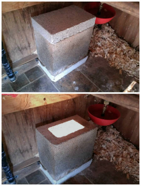 diy heated dog house