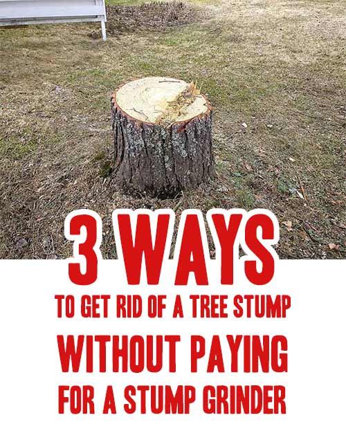 3 Ways To Get Rid Of A Tree Stump Without Paying For A Stump Grinder