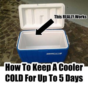 How To Keep A Cooler Cold For Up To 5 Days - Home Garden DIY