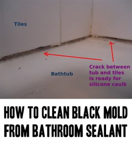How to Clean Black Mold from Bathroom Sealant - Home Garden DIY