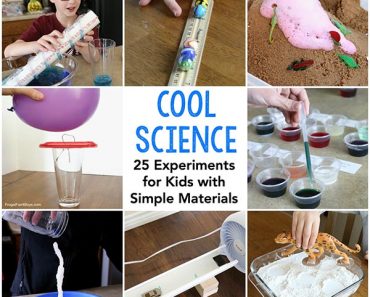 Don't Melt The ICE Kids Science Experiment - Home Garden DIY