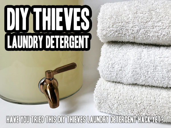 diy-thieves-laundry-detergent-home-garden-diy