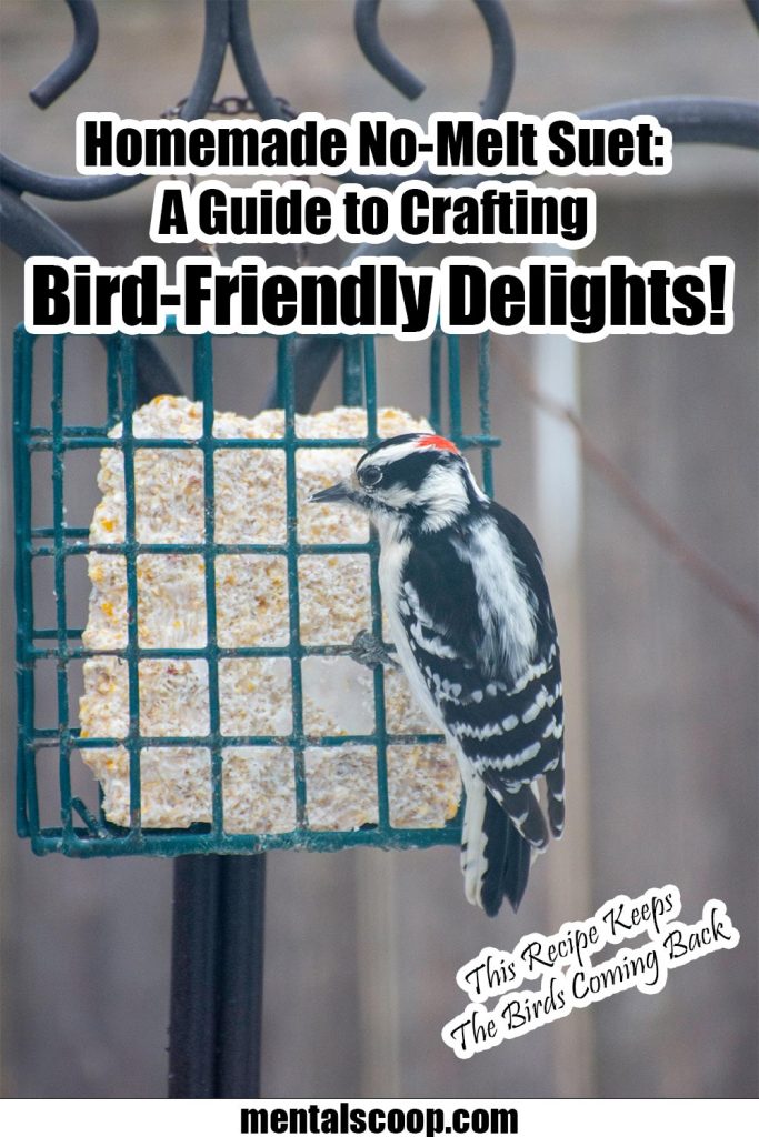 Homemade NoMelt Suet Bird Feed Recipe Home Garden DIY