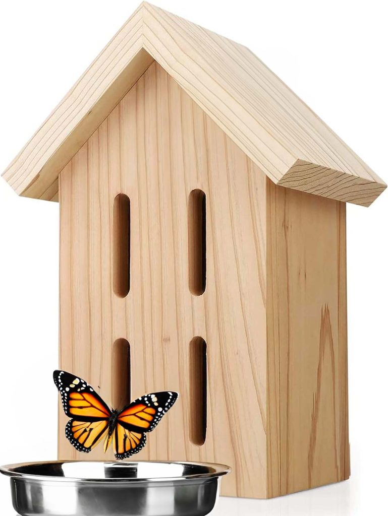 The Ultimate Guide to Wood Conditioner - A Butterfly House